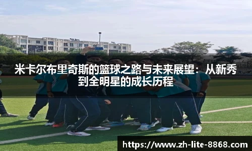 8868体育官网入口